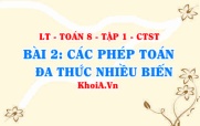 Cách cộng, trừ hai đa thức, nhân hai đa thức, chia đa thức cho đơn thức? Ví dụ? Toán 8 bài 2 ct1c1b2